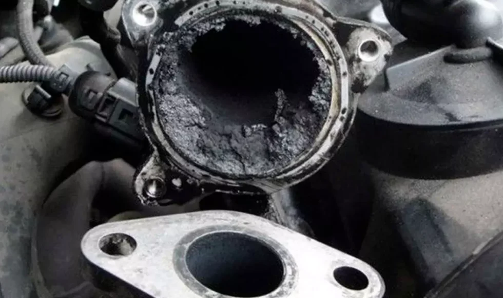 images_2021_09_21_carbonilla-obstruccion-descarbonizacion